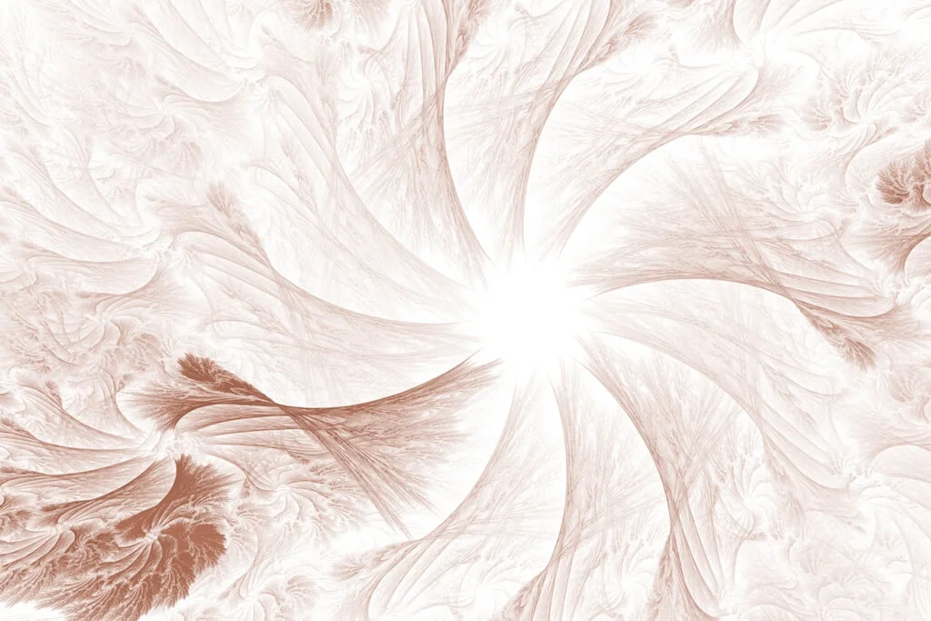 Papier Rosette crème Saldi Straordinari Offerte Speciali Disponibili Adesso