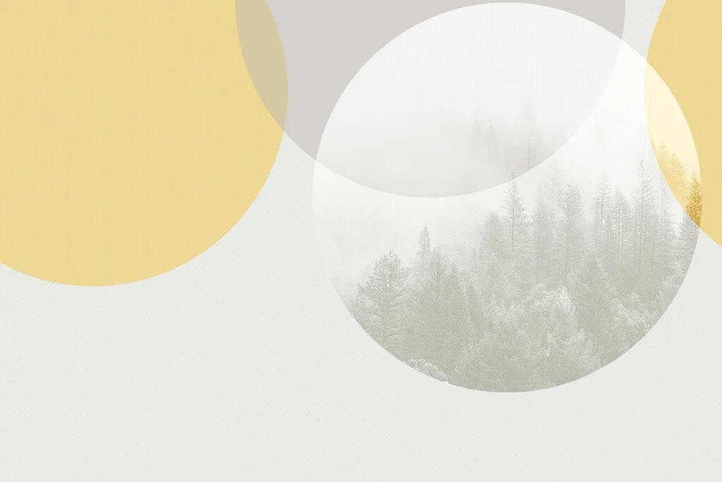 Papier peint Forêt fermée en cercle décoratif - Saldi Straordinari – Offerte Speciali Disponibili Adesso