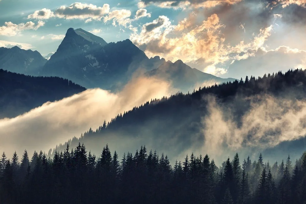 murale Brouillard matin Saldi Straordinari Offerte Speciali Disponibili Adesso