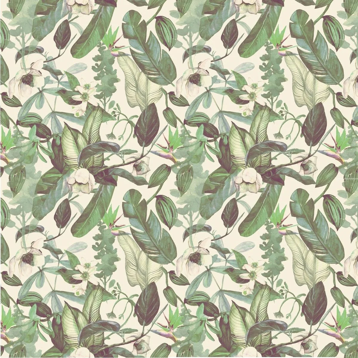 Sticker mural Feuilles exotiques - Saldi Straordinari – Offerte Speciali Disponibili Adesso Classification des feuilles selon leur forme 🍀🍃🌱🧑‍🌾
