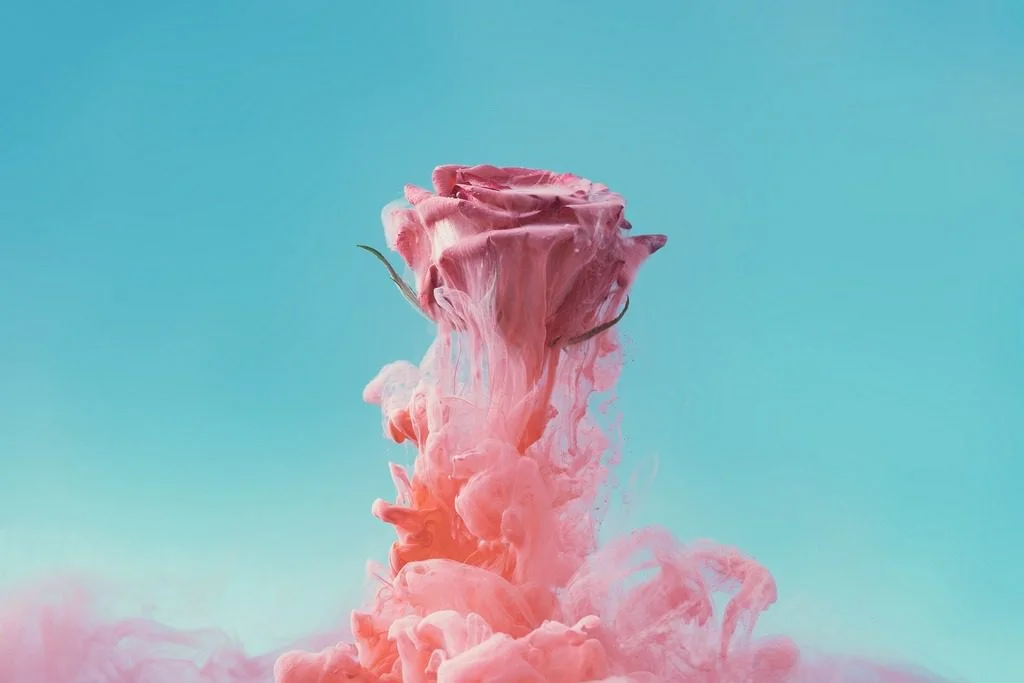 murale Rose fumée Saldi Straordinari Offerte Speciali Disponibili Adesso