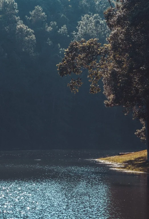 Papier peint Image Réservoir d’eau - Saldi Straordinari – Offerte Speciali Disponibili Adesso