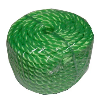 Corde nylon tressée verte 20 m diam 8 mm - Accessoires Outdoor pour Plus de Liberté de Mouvement - {'count': 1, 'name': 'Werka'}
