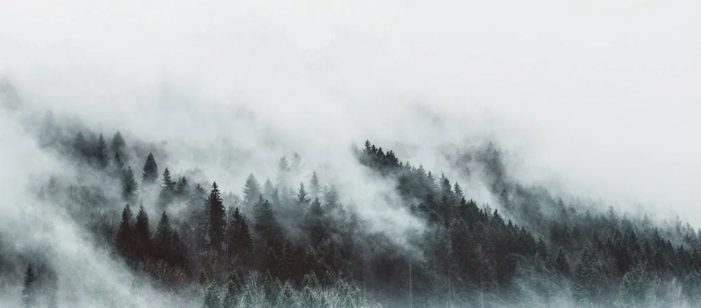Peinture murale Brouillard qui coule - Saldi arbre Straordinari – Offerte Speciali Disponibili Adesso