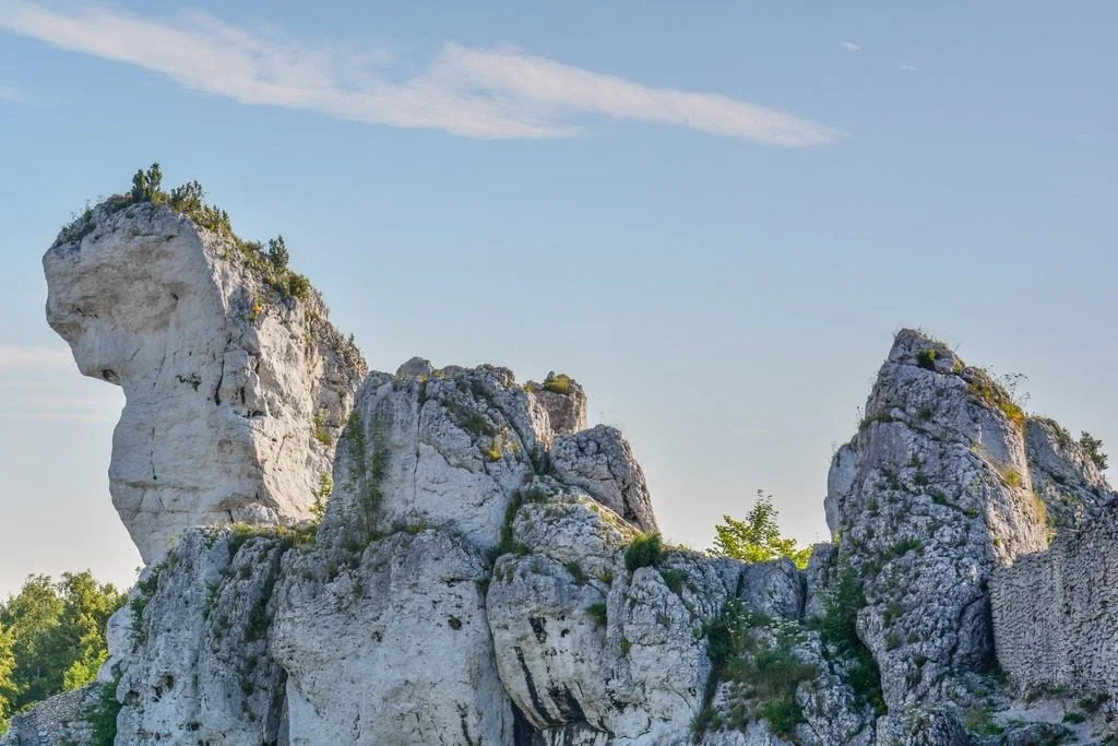 Peinture murale Roches programme à Ogrodzieniec - Saldi Straordinari – Offerte Speciali Disponibili Adesso