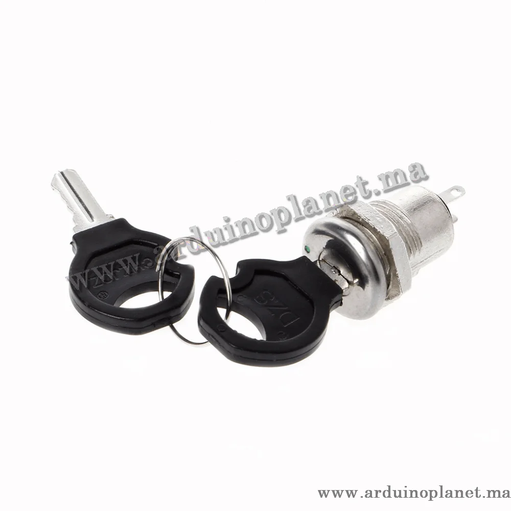 Interrupteur ON/OFF à Clef 3A 250V - Saldi Straordinari – Offerte Speciali Disponibili Adesso Interrupteur de sécurité à clé ON-OFF 19mm, 250V/2A