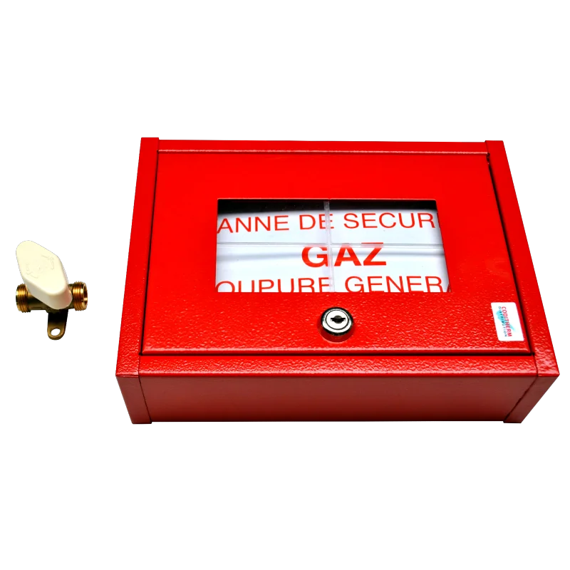 COFFRET DE SECURITE AVEC VANNE NF – Ref COFSECUVNF - Saldi Straordinari – Offerte Speciali Disponibili Adesso - coffret gaz coffret securite vanne nf ref