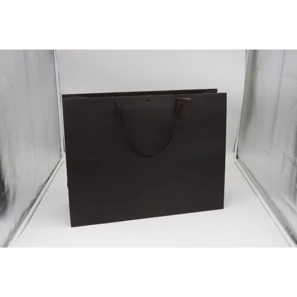 Sac luxe Pelliculé Mat – 520 + 160 x 440 mm - Organisation de la maison avec des solutions de rangement - {'count': 1, 'name': 'Yunyige'}