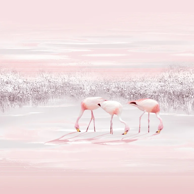 Papier peint Trois flamants roses - Saldi Straordinari – Offerte Speciali Disponibili Adesso Papier peint rond cercle décoratif Flamant rose - Papier Standard 170gr  Lessivable - Diamètre 90 cm | Leroy Merlin