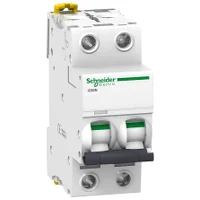 DISJONCTEUR MINIATURE IC60N ACTI9 A9F74204 SCHNEIDER Saldi Straordinari Offerte Speciali Disponibili Adesso