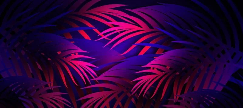 Sticker mural Feuilles tropicales Saldi Straordinari Offerte Speciali Disponibili Adesso