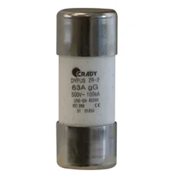 FUSIBLE DYFUS ZR-2 DE 80A GG-G 22X58 0101260 TEMPER Grundfos - Saldi Straordinari – Offerte Speciali Disponibili Adesso