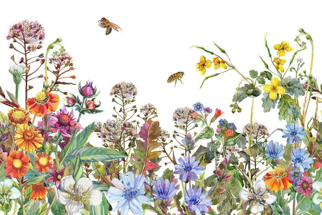 Peinture murale Prairie en fleurs - Saldi Straordinari – Offerte Speciali Disponibili Adesso - Aquarelle