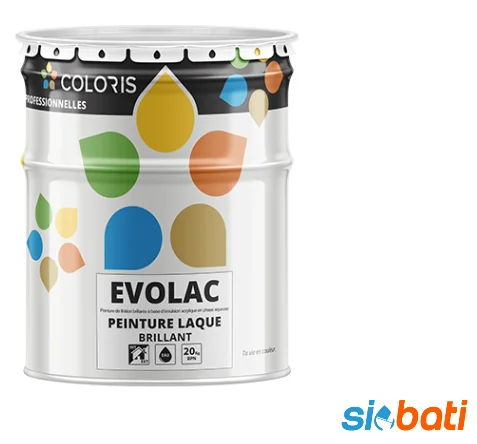 EVOLAC Peinture laque en émulsion pour intérieur et extérieur 20kg - Saldi Straordinari – Offerte Speciali Disponibili Adesso - {'count': 2, 'name': 'EVOLUTION'}