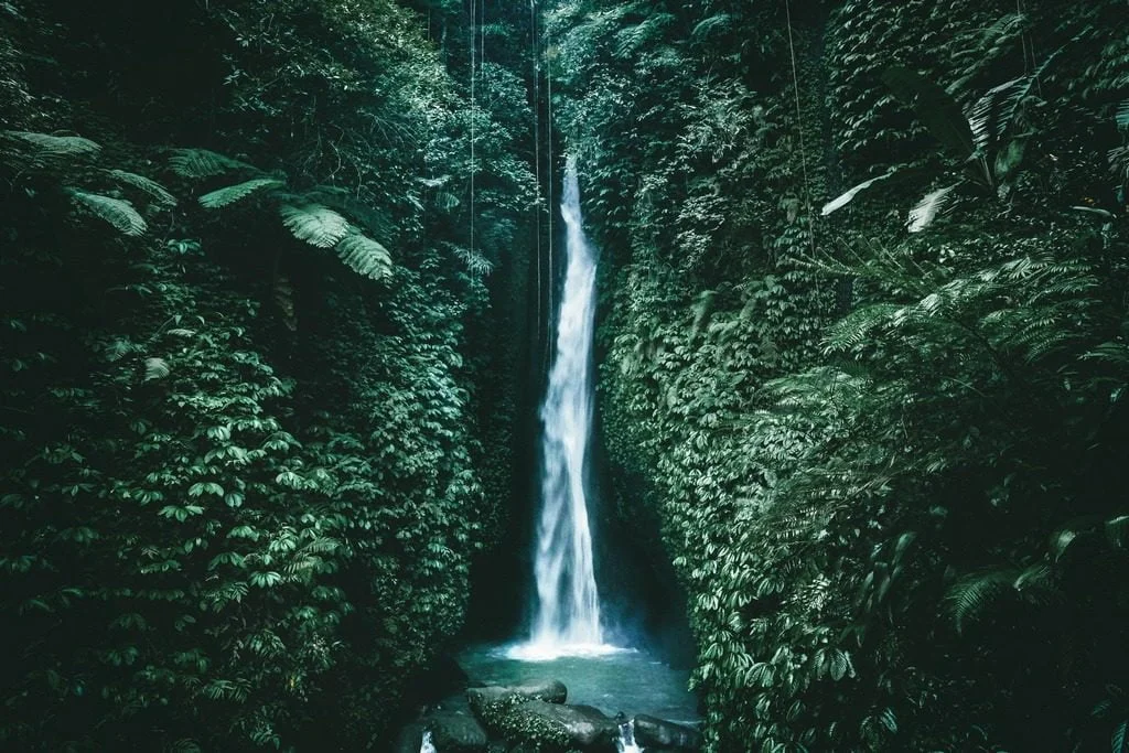 Peinture murale Cascade de la jungle - Saldi Straordinari – Offerte Speciali Disponibili Adesso - Tableau