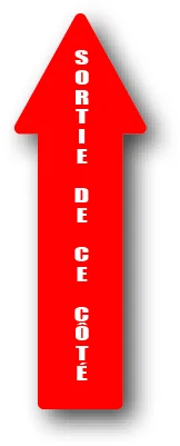 DuraSign pictogramme Forme Flèche SORTIE CÔTÉ Version Verticale Saldi Straordinari Offerte Speciali Disponibili Adesso