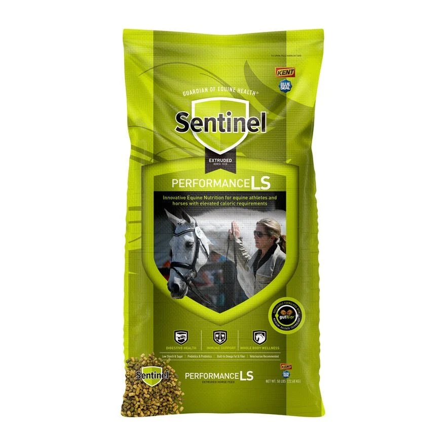 Sentinel Name Performance LS - Blue Seal - Saldi Straordinari – Offerte Speciali Disponibili Adesso